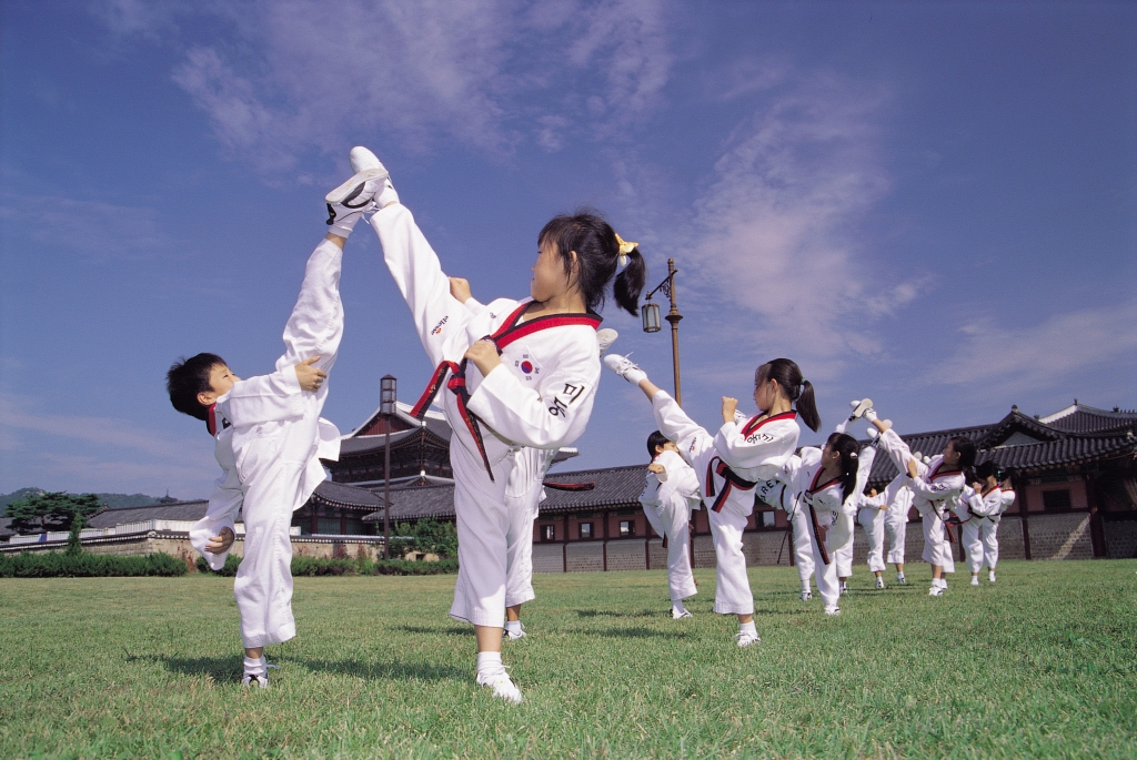 Taekwondo-Traditionel-Korean-Martial-Art