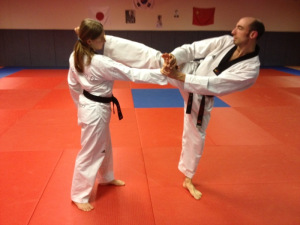 HoShinSoul du Taekwondo, l’évolution: progression ou régression?
