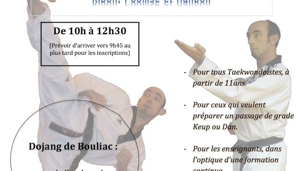 Stage de Taekwondo spécial passage de grade