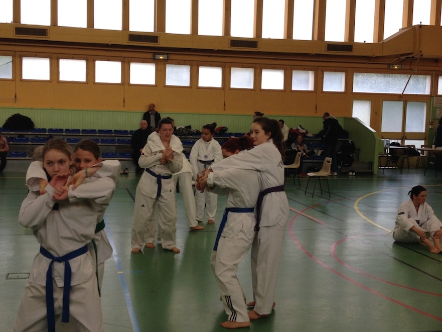 club taekwondo herault