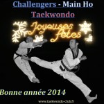 Bonne-annee-2014-challengers-taekwondo