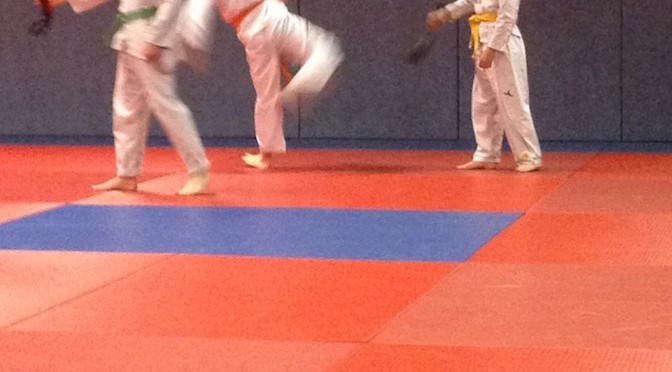 Démonstration du Téléthon 2013 au Dojang de Bouliac