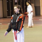 taekwondo-tournoi-international-paris-2014-challengers-2