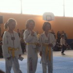 competition-taekwondo-mudo-challengers-11