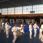 competition-taekwondo-mudo-challengers-5