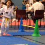 taekwondo-aquitaine-gironde-competition-enfant-12