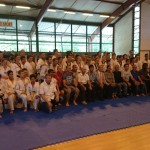 2eme-coupe-mainho-beziers-taekwondo-2014-5