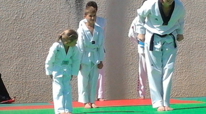 Livre « Le Taekwondo » par Michel Carron
