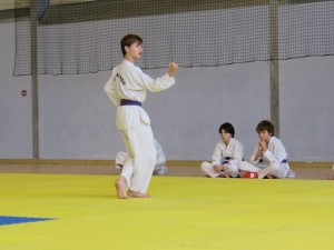 championnat-regional-taekwondo-technique-aquitaine-2014-4
