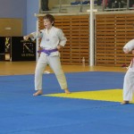 championnat-regional-taekwondo-technique-aquitaine-2014-5