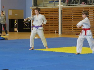 championnat-regional-taekwondo-technique-aquitaine-2014-5