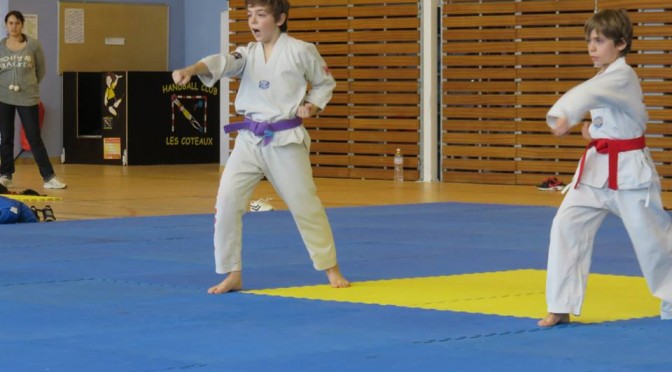 Championnat Regional Taekwondo Technique d’Aquitaine 2014