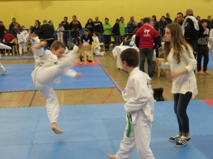 coupe-leguevin-taekwondo-2015-1