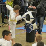 coupe-leguevin-taekwondo-2015-5