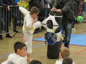 coupe-leguevin-taekwondo-2015-5