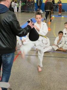 coupe-leguevin-taekwondo-2015-6