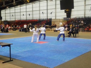 technique-taekwondo-paris-2015-2