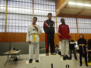 Open-Colomiers-2015-Taekwondo-11