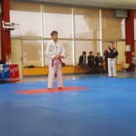 championnat-france-technique-taekwondo-2015-4