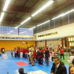 championnat-france-technique-taekwondo-2015-8