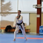 chanmpionnat-france-taekwondo-technique-poomse-2015-Auxerre-113