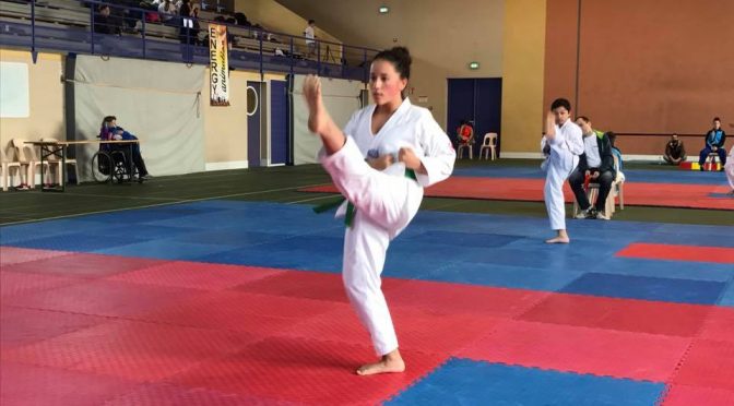 Hoshinsoul – self défense du Taekwondo sur yop-tchagui