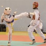 Clement-taekwondo-regional-combat-2017-bordeaux