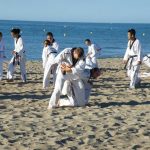 stage-ete-taekwondo-beziers-2017-15