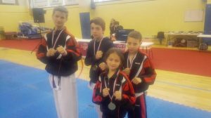 taekwondo-bordeaux-regional-combat-2016-8