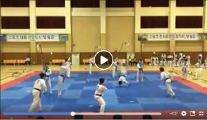 Démonstration de casses par une équipe Coréenne de Taekwondo