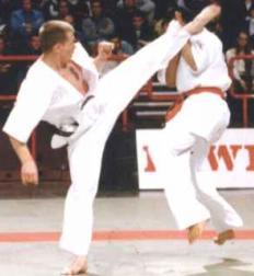 Karaté et Taekwondo quelle différence ?