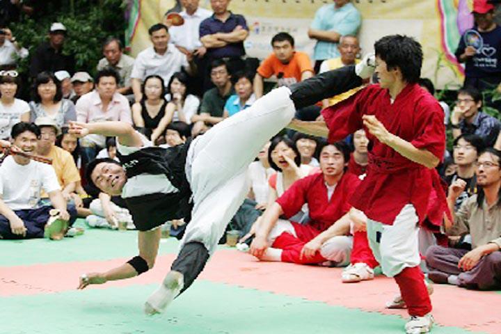Stage de Taekkyun les 4 et 5 Mai 2013 à Bagnolet