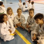 taekwondo-aquitaine-gironde-competition-enfant-4