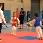 taekwondo-aquitaine-gironde-competition-enfant-5