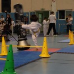 taekwondo-aquitaine-gironde-competition-enfant-9