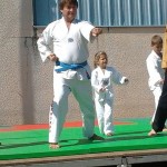 forum-association-coutras-taekwondo-3