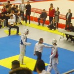 Open-Colomiers-2015-Taekwondo-9